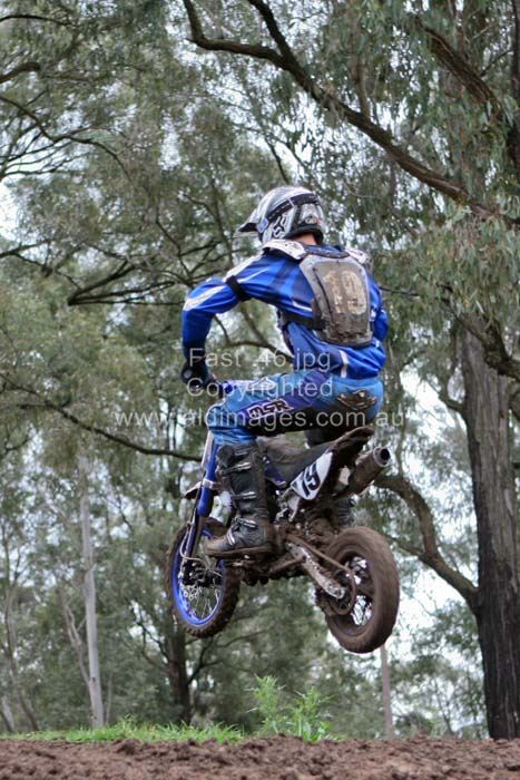 445x677 pixels (89K)